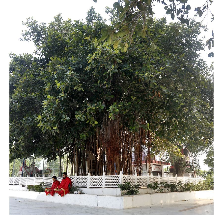 Jyotisar, Haryana
