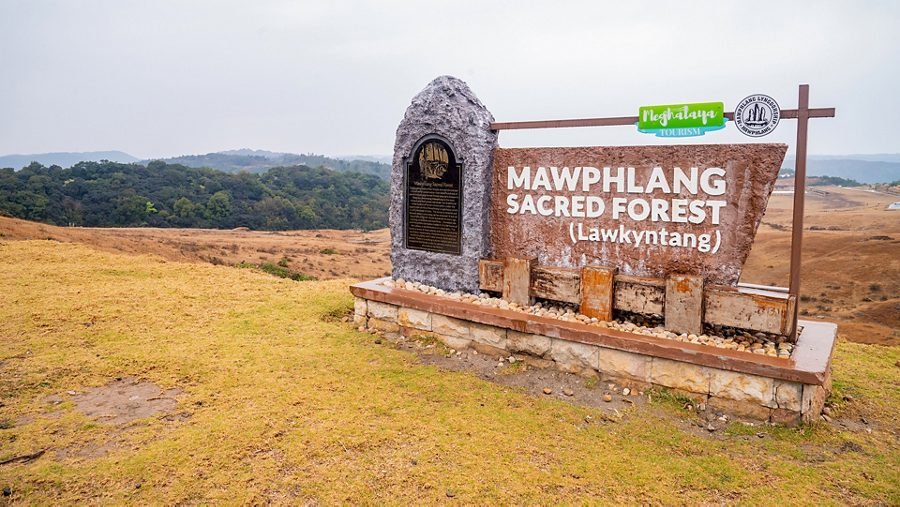Mawphlang Sacred Grove